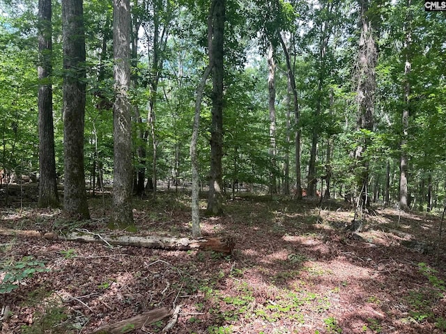 Mill Rd, Little Mountain, SC 29075