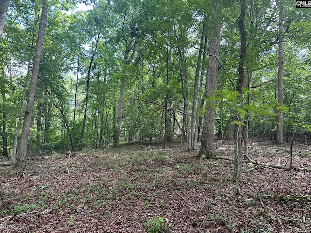 Mill Rd, Little Mountain, SC 29075
