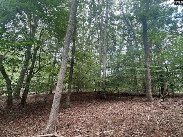 Mill Rd, Little Mountain, SC 29075
