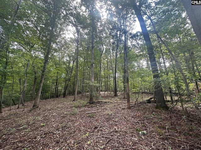 Mill Rd, Little Mountain, SC 29075