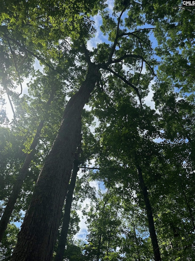 Mill Rd, Little Mountain, SC 29075