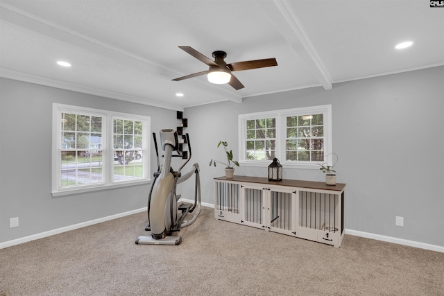 608 Byron Rd, Columbia, SC 29209 - workout room with carpet flooring, a ceiling fan, recessed lighting, and ornamental molding
