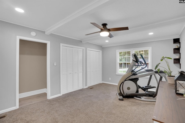 608 Byron Rd, Columbia, SC 29209 - exercise room featuring carpet, ceiling fan, crown molding, and recessed lighting