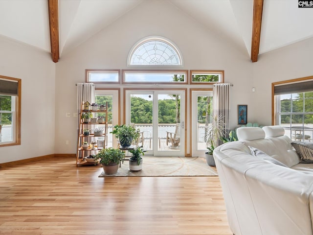 887 Living Waters, Great Falls, SC 29055 - living room with high vaulted ceiling, light wood-style floors, and healthy amount of natural light