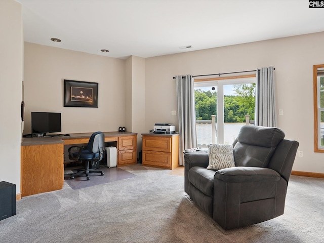 887 Living Waters, Great Falls, SC 29055 - office area with light colored carpet and healthy amount of natural light