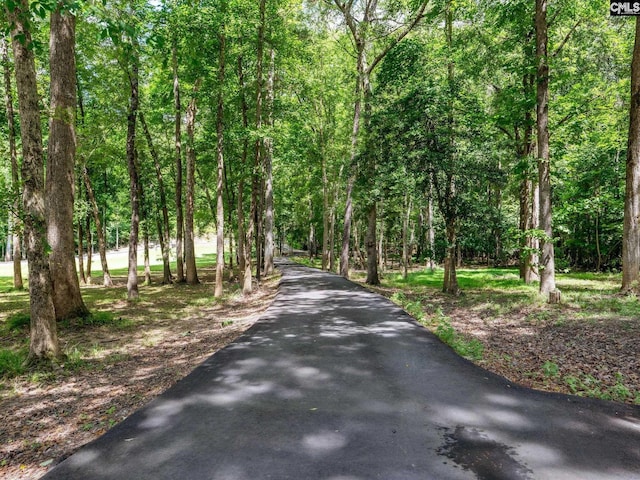 887 Living Waters, Great Falls, SC 29055 - view of road featuring a wooded view