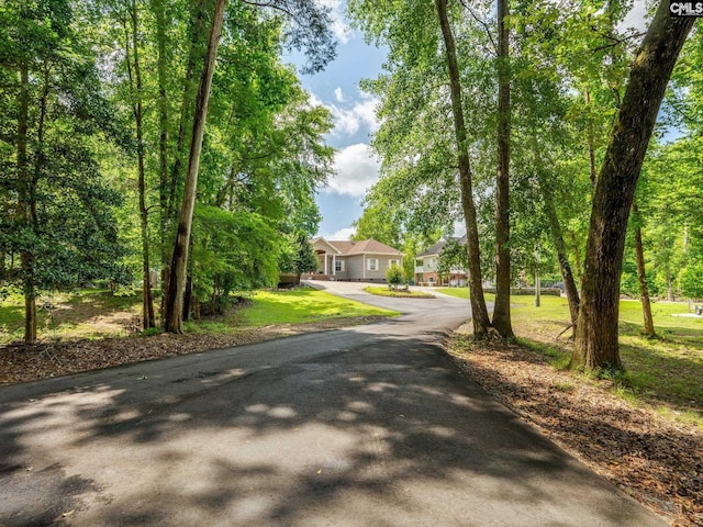 887 Living Waters, Great Falls, SC 29055 - view of property hidden behind natural elements with driveway