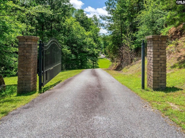 887 Living Waters, Great Falls, SC 29055 - view of road with a gate and a gated entry