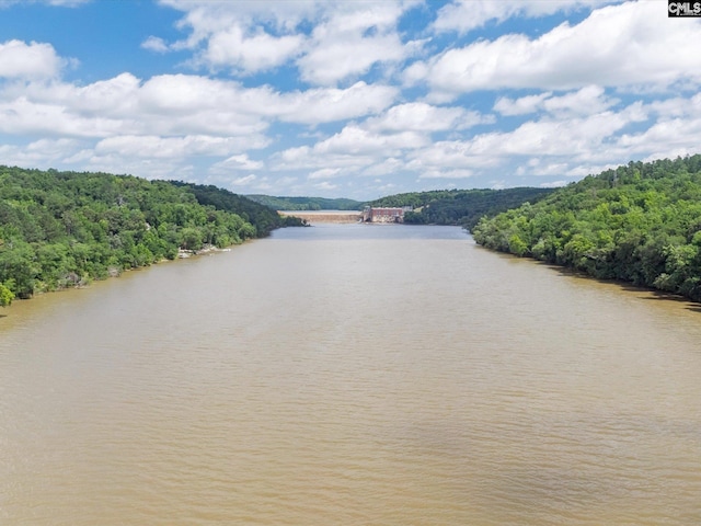 887 Living Waters, Great Falls, SC 29055 - water view featuring a forest