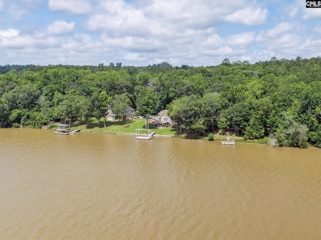 887 Living Waters, Great Falls, SC 29055 - drone / aerial view of a nearby body of water and a heavily wooded area