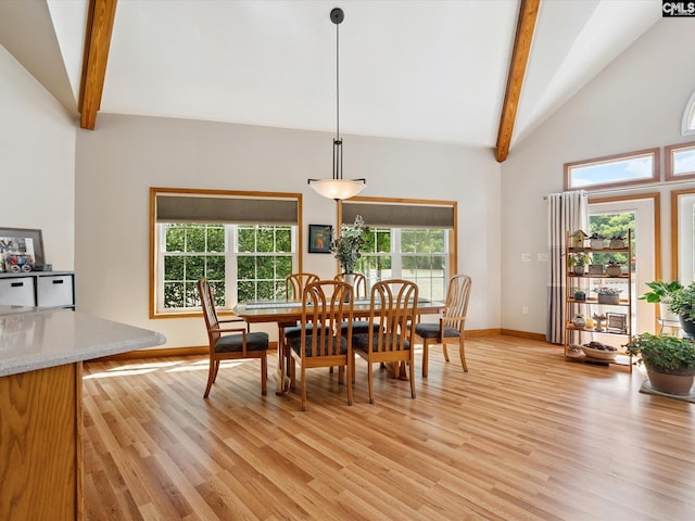 887 Living Waters, Great Falls, SC 29055 - dining area with beam ceiling, light wood finished floors, plenty of natural light, and high vaulted ceiling