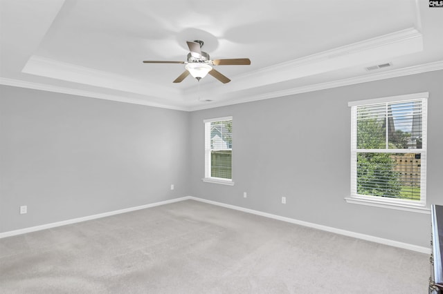 821 Burnview Ln, Chapin, SC 29036 - carpeted spare room featuring a raised ceiling, ornamental molding, plenty of natural light, and a ceiling fan