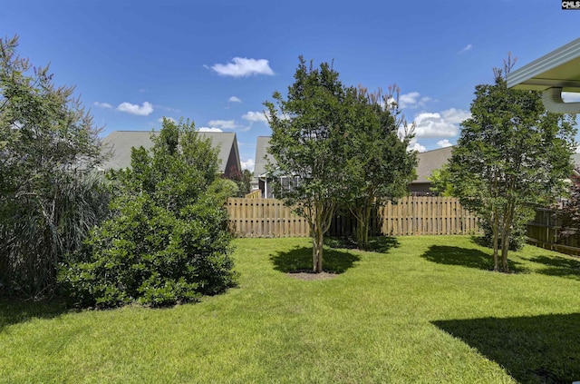 821 Burnview Ln, Chapin, SC 29036 - view of yard