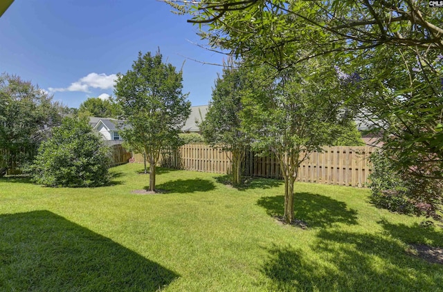 821 Burnview Ln, Chapin, SC 29036 - view of yard