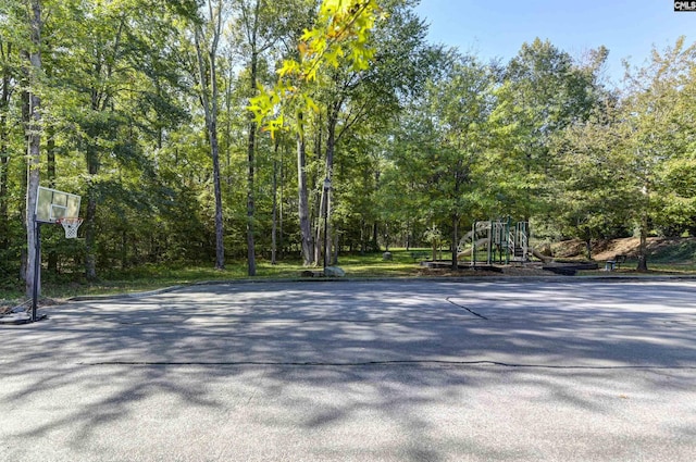 821 Burnview Ln, Chapin, SC 29036 - view of asphalt road with curbs
