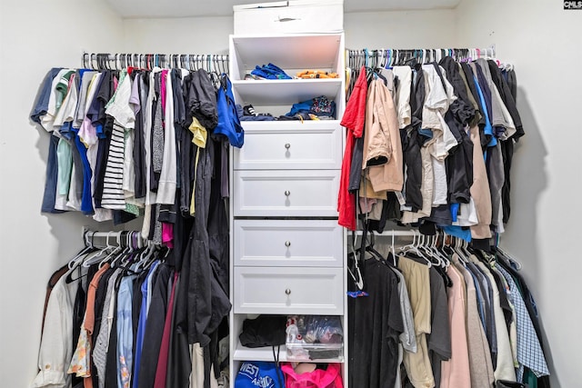 103 Faircrest Way, Columbia, SC 29229 - view of spacious closet