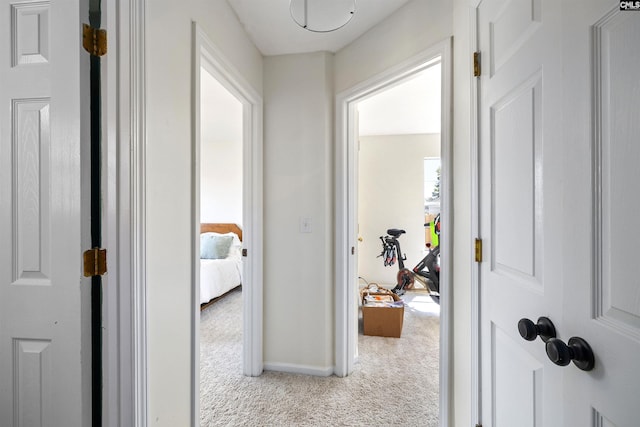103 Faircrest Way, Columbia, SC 29229 - corridor with carpet and baseboards