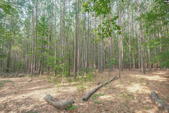 269 Creek Branch Dr, Lexington, SC 29072 - view of wooded area