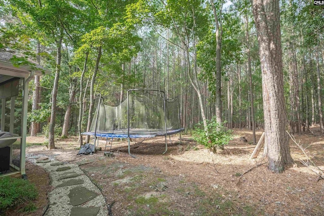 269 Creek Branch Dr, Lexington, SC 29072 - view of yard featuring a trampoline and a wooded view