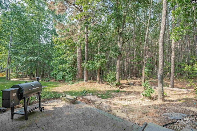 269 Creek Branch Dr, Lexington, SC 29072 - view of patio featuring a grill and a view of trees
