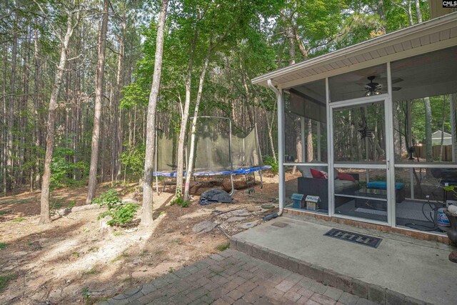 269 Creek Branch Dr, Lexington, SC 29072 - view of patio / terrace featuring a trampoline, a sunroom, and a ceiling fan