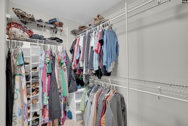 269 Creek Branch Dr, Lexington, SC 29072 - view of walk in closet