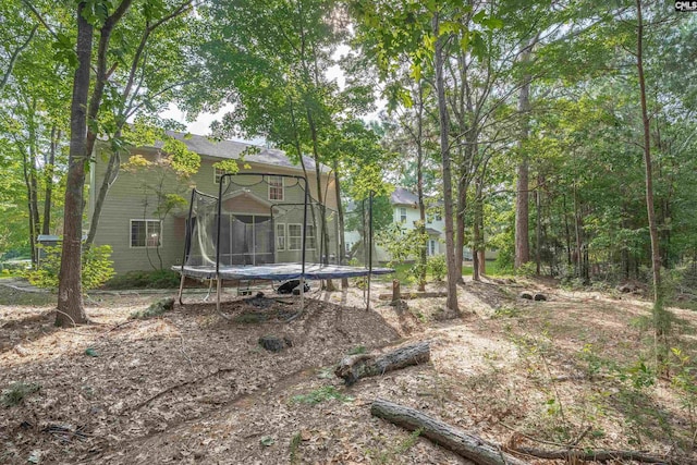 269 Creek Branch Dr, Lexington, SC 29072 - rear view of property featuring a trampoline
