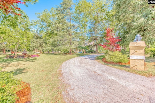 232 Boulware Rd, Lugoff, SC 29078 - view of dirt / gravel road
