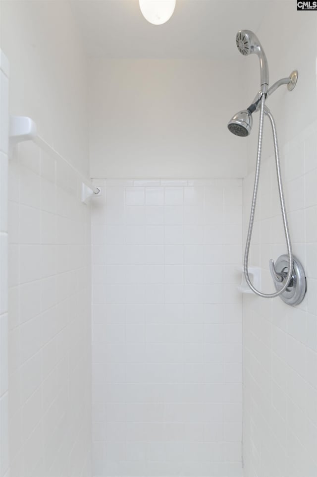 136 Traylors Gate Cir, Irmo, SC 29063 - bathroom view of a tile shower