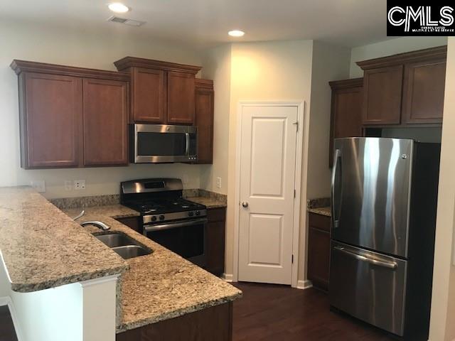 532 Slices Way, Chapin, SC 29036 - kitchen featuring appliances with stainless steel finishes, a peninsula, recessed lighting, dark wood-type flooring, and light stone countertops