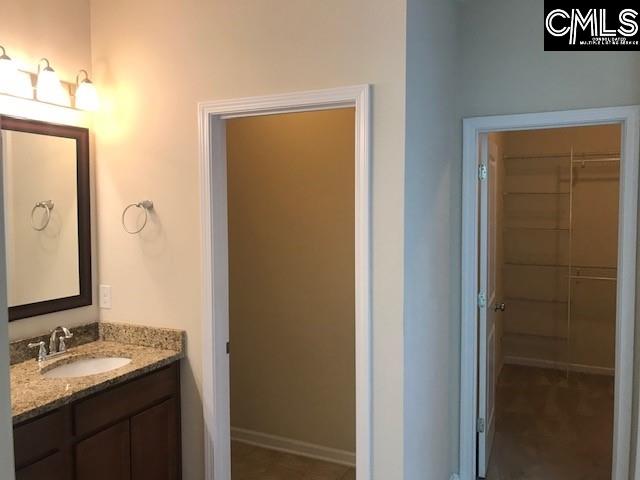 532 Slices Way, Chapin, SC 29036 - bathroom featuring vanity and a spacious closet