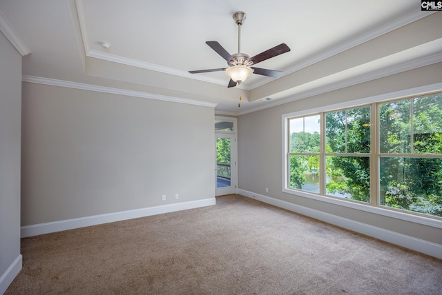 605 Flycatcher Ln, Blythewood, SC 29016 - carpeted spare room featuring ceiling fan, ornamental molding, and a tray ceiling