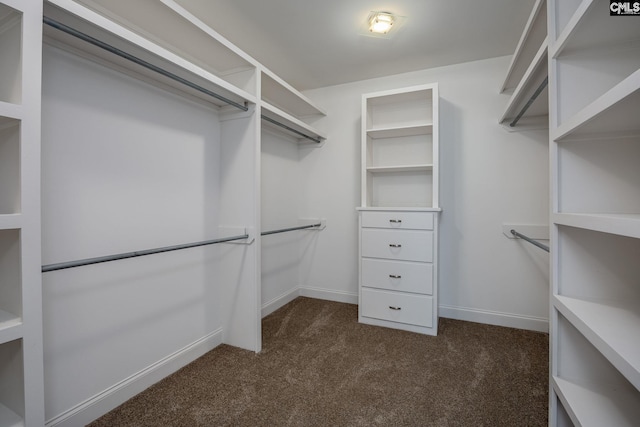 605 Flycatcher Ln, Blythewood, SC 29016 - spacious closet with dark carpet