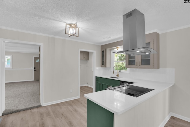 898 Perry Blvd, Sumter, SC 29154 - kitchen with green cabinetry, island exhaust hood, light countertops, light wood-type flooring, and glass insert cabinets