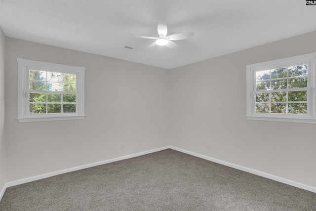 898 Perry Blvd, Sumter, SC 29154 - unfurnished room featuring ceiling fan, carpet floors, and healthy amount of natural light