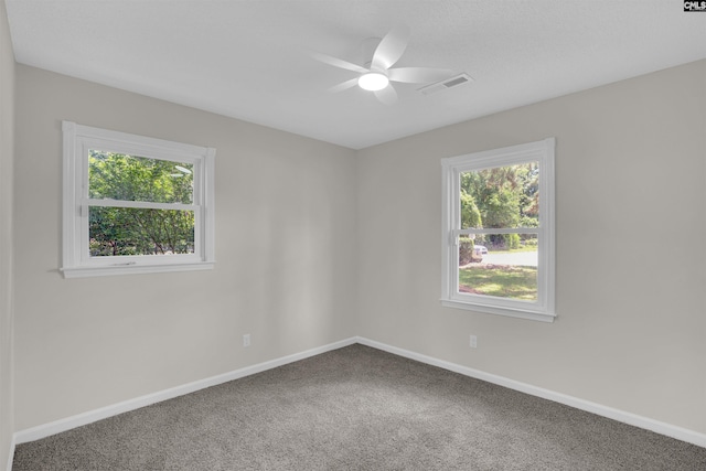 898 Perry Blvd, Sumter, SC 29154 - empty room featuring healthy amount of natural light, carpet flooring, and ceiling fan
