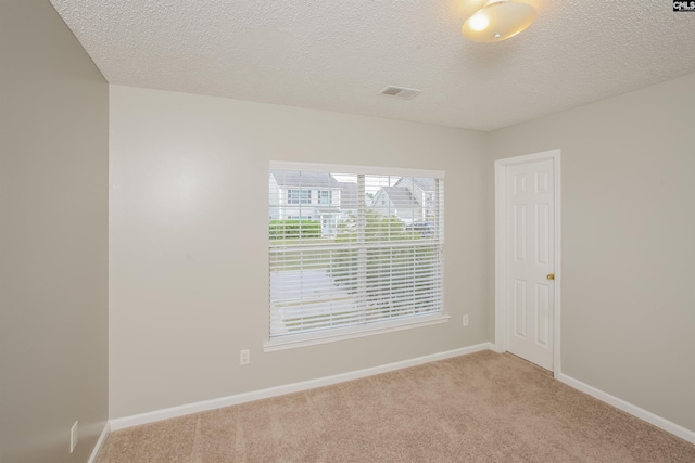 141 Wigmore Ln, Lexington, SC 29072 - empty room featuring light carpet and a textured ceiling
