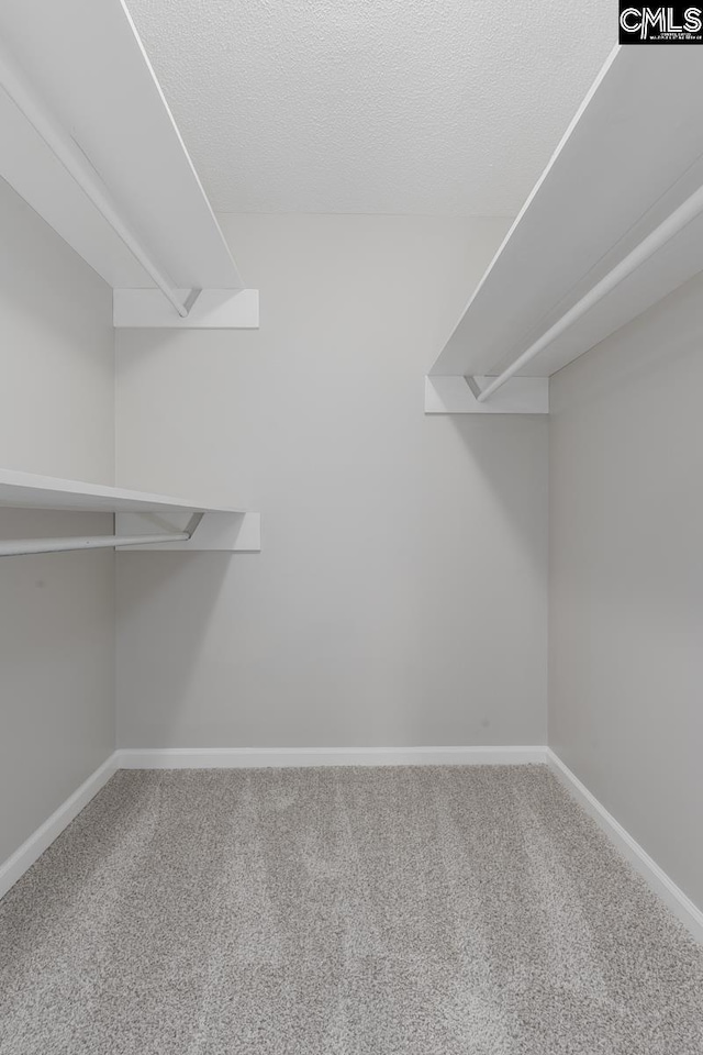 800 Valhalla Dr, Columbia, SC 29229 - walk in closet with carpet