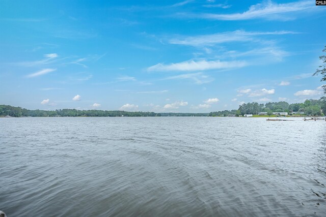 116 Laurel Rock Pt, Leesville, SC 29070 - water view