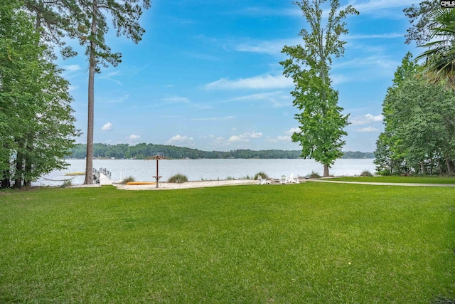 116 Laurel Rock Pt, Leesville, SC 29070 - water view