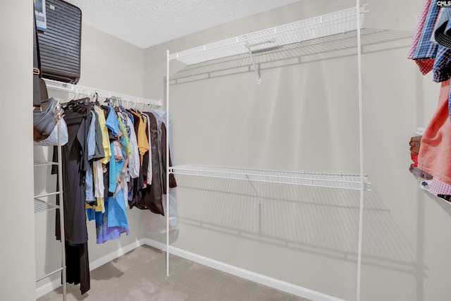 316 Founders Ridge Rd, Columbia, SC 29229 - view of spacious closet