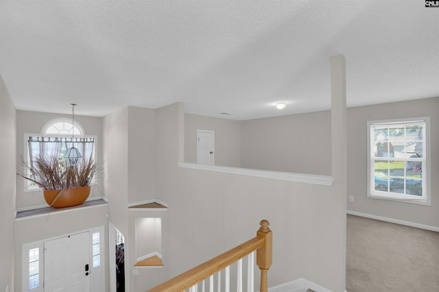 316 Founders Ridge Rd, Columbia, SC 29229 - carpeted entryway featuring plenty of natural light and a textured ceiling