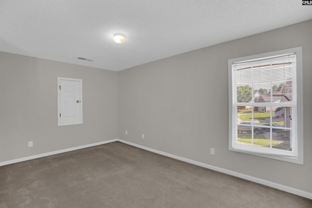 316 Founders Ridge Rd, Columbia, SC 29229 - empty room featuring a textured ceiling and carpet flooring