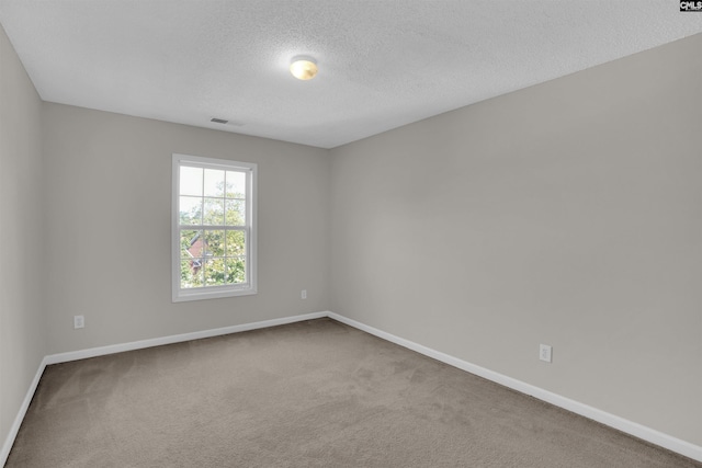 316 Founders Ridge Rd, Columbia, SC 29229 - unfurnished room featuring a textured ceiling and carpet flooring