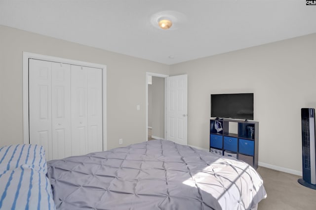 316 Founders Ridge Rd, Columbia, SC 29229 - bedroom featuring carpet floors and a closet