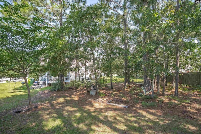 316 Founders Ridge Rd, Columbia, SC 29229 - view of yard