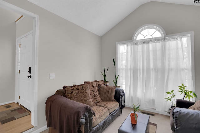 316 Founders Ridge Rd, Columbia, SC 29229 - living room with vaulted ceiling