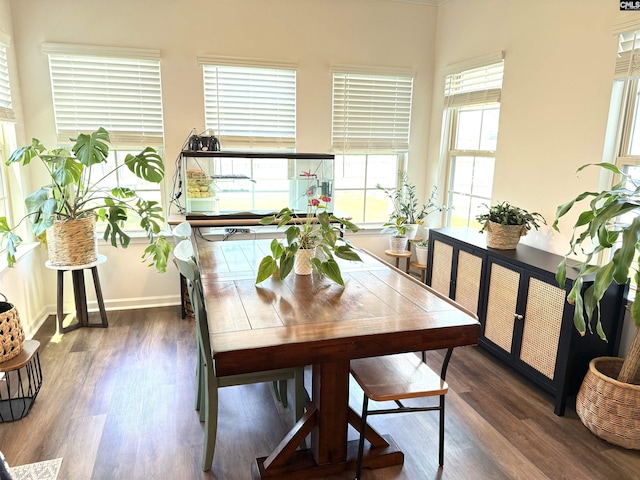 1324 Tamarind Ln, Chapin, SC 29036 - dining room featuring wood finished floors and baseboards