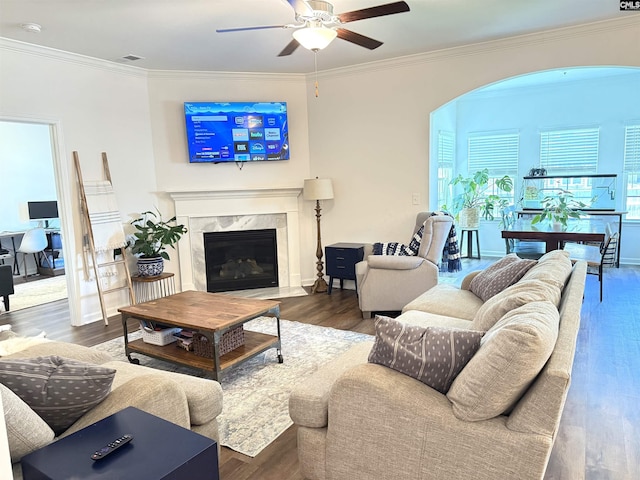 1324 Tamarind Ln, Chapin, SC 29036 - living area featuring ceiling fan, wood finished floors, crown molding, a premium fireplace, and arched walkways