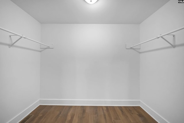 1005 D Ave, West Columbia, SC 29169 - spacious closet with dark wood-type flooring